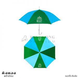ร่ม (2)